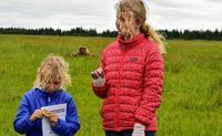 Half-Day Bear Viewing Tour from Kenai, Alaska - 6 Hours