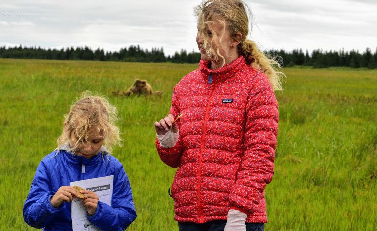 Half-Day Bear Viewing Tour from Kenai, Alaska - 6 Hours