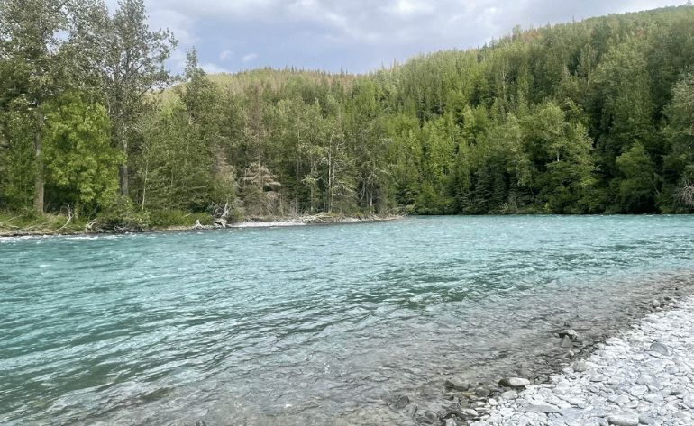 Scenic Kenai River Rafting from Cooper Landing, Alaska - 3 Hours