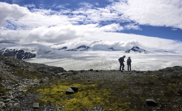 Harding Icefield Trail Hiking Tour from Seward, Alaska - 8 Hours