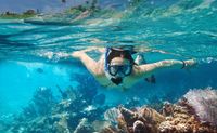 Snorkeling Tour Cancun Underwater Museum  - 5 Hours