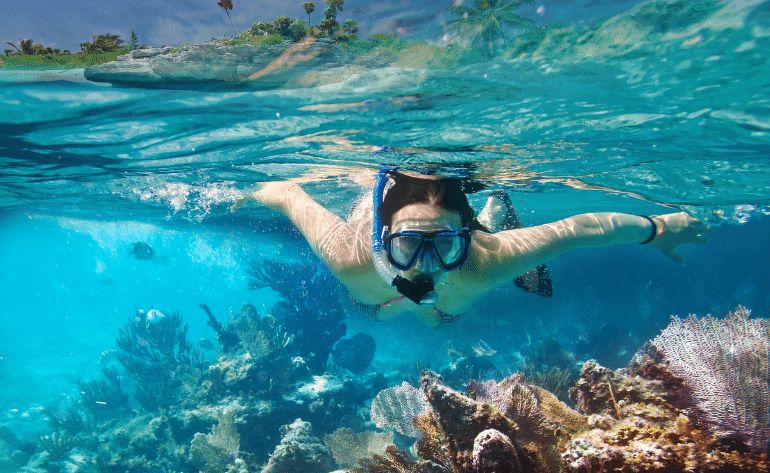 Snorkeling Tour Cancun Underwater Museum  - 5 Hours