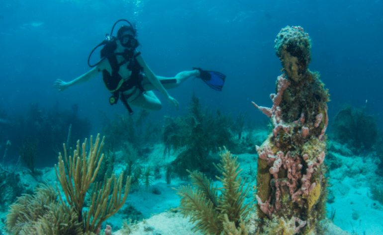 Snorkeling Tour Cancun Underwater Museum  - 5 Hours