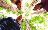 Private Muir Woods and San Francisco City Tour in Open-Air Jeep - 7 Hours