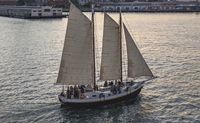 Private Tall Ship Charter San Francisco - 3 Hours (up to 49 People!)