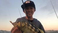 offshore Fishing Trip Dana Point Los Angeles