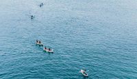 Tandem Kayak Tour La Jolla Ocean