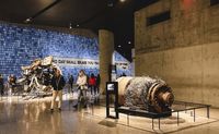 911 Memorial Museum & 60 Lady Liberty Cruise, ground zero