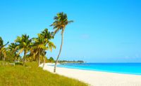 Key West Bus Tour from Miami - Full Day