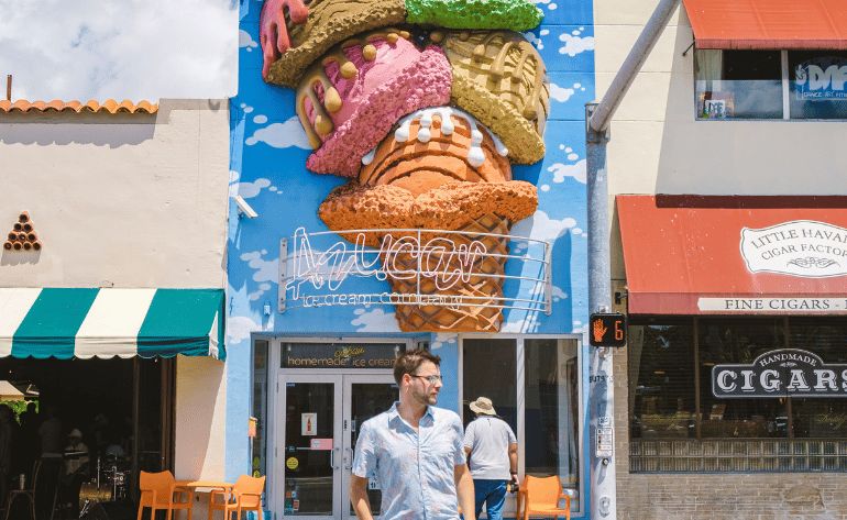 Miami Bus Tour, South Beach, Wynwood, and Little Havana - 4 Hours (Transportation Included!)