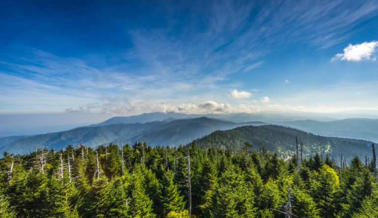Helicopter Ride Smoky Mountains, National Park Tour - 25 Minutes