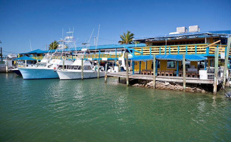 Deep Sea Fishing Charter Miami, 6 Hours - Up to 6 People