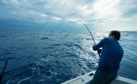 Deep Sea Fishing Charter Miami, 6 Hours - Up to 6 People
