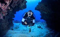 Private Scuba Diving Charter, Waikiki, 3 Hours (Up to 21 Guests!)