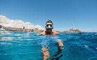 Snorkeling Tour Waikiki - 2 Hours