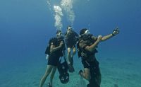 Scuba Diving for Non Certified Divers, Waikiki - 2 Hours