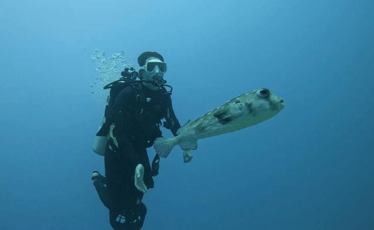 Scuba Diving for Non Certified Divers, Waikiki - 2 Hours