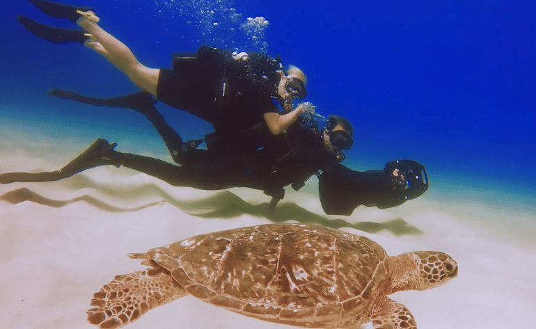 Oahu Scuba Diving, One Tank Reef Dive in Waikiki - 2 Hours