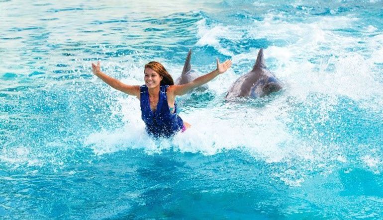 Dolphin Royal Swim Hawaii, Admission to Sea Life Park, 30 min Swim