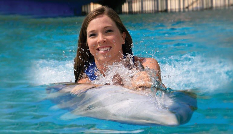 Dolphin Royal Swim Hawaii, Admission to Sea Life Park, 30 min Swim