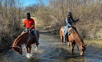 Private Santa Ynez Valley Horseback Riding - 90 Minutes