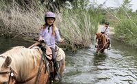Private Santa Ynez Valley Horseback Riding - 90 Minutes