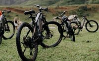 Oahu E-Bike Guided Adventure, Kualoa Ranch - 2 Hours