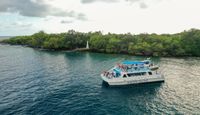 Big Island Catamaran Dinner Cruise to Kealakekua Bay - 3 Hours