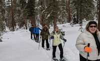 Self-Guided Snowshoeing Tour, Lake Tahoe - 3 Hours