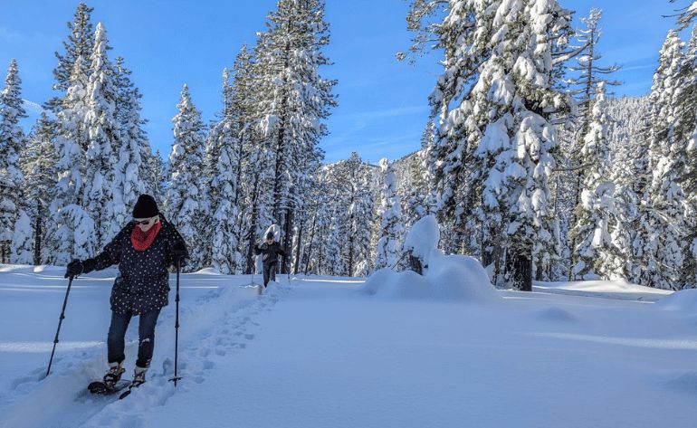 Self-Guided Snowshoeing Tour, Lake Tahoe - 3 Hours