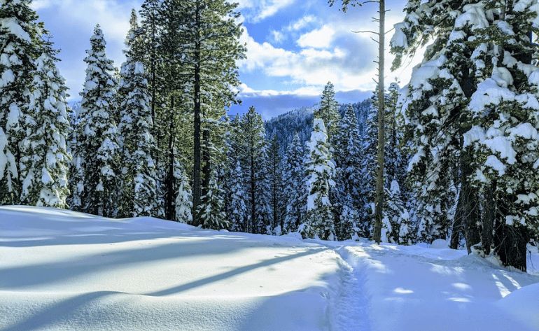 Palisades Point Snowshoe Tour, Lake Tahoe - 3 Hours