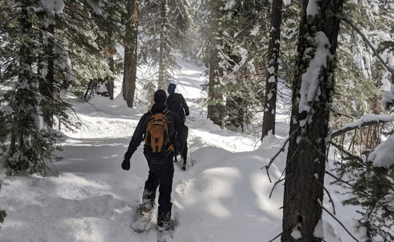 Palisades Point Snowshoe Tour, Lake Tahoe - 3 Hours