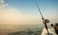 Private Yacht Charter and Baja Fishing Adventure - 4 Days