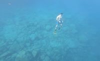 Private Yacht Charter and Baja Fishing Adventure - 4 Days