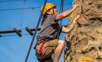Gatorland, Single Zipline and Croc Rock Adventure, Orlando - 45 Minutes