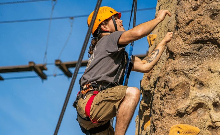 Gatorland, Single Zipline and Croc Rock Adventure, Orlando - 45 Minutes