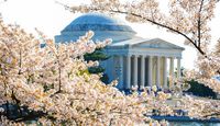 Open-top Bus Tour Washington DC - 24 Hours