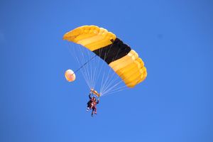 Image of Skydive Orlando - 11,000 ft Jump | Adrenaline  review