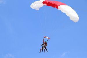 Image of Skydive Tampa - 14,000 ft Tandem Jump | Adrenaline  review