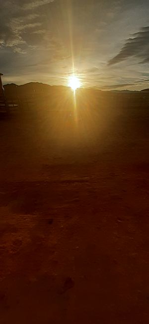 Image of Sunset Horseback Riding, Las Vegas - 5 Hours | Adrenaline  review