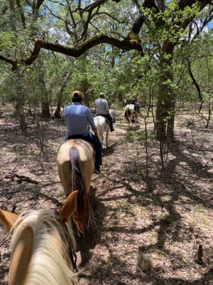 Image of Horseback Riding in Texas Hill Country | Adrenaline  | San Antonio review