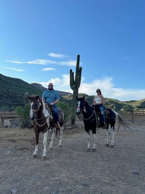 Image of Private Horseback Riding, Phoenix - 2.5 Hours | Adrenaline  review