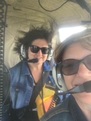 Image of Helicopter Tour Oahu (Doors Off) | Adrenaline  review
