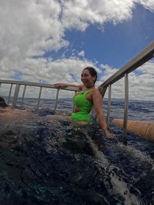 Image of Shark Cage Dive Oahu, North Shore - 2 Hours | Adrenaline  review