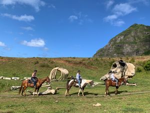 Image of Horseback Riding Oahu, Kualoa Ranch - 2 Hours | Adrenaline  review