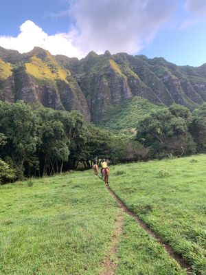 Image of Horseback Riding Oahu, Kualoa Ranch - 2 Hours | Adrenaline  review