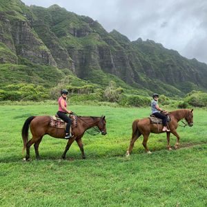 Image of Horseback Riding Oahu, Kualoa Ranch - 2 Hours | Adrenaline  review