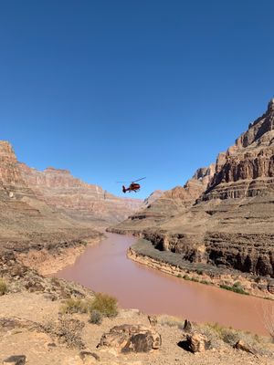 Image of Grand Canyon Helicopter Tour with Champagne Landing  review