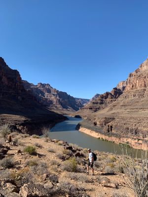 Image of Grand Canyon Helicopter Tour with Champagne Landing  review