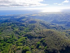 Image of Private Helicopter Tour Kauai - 60 Minutes | Adrenaline  review